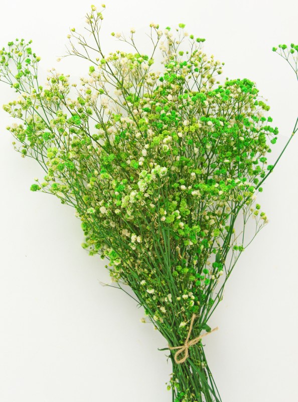 Picture of Preserved Gyp Green Bunch 55g